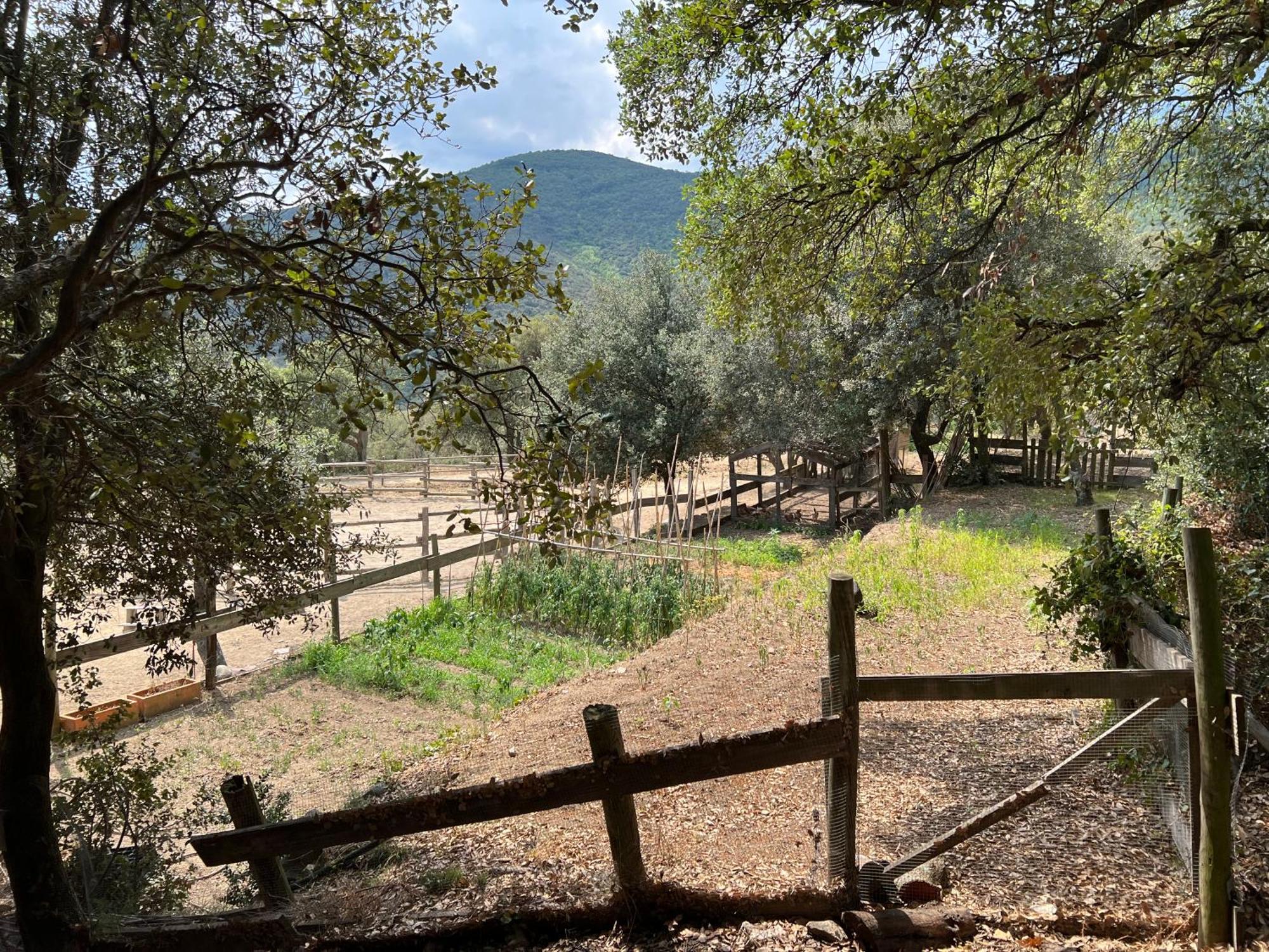 Can Maimes Agullana Exterior foto